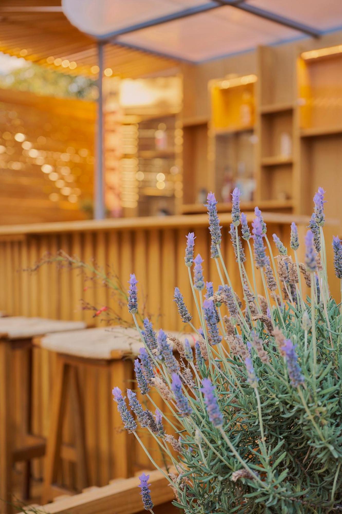 Hotel Materia Oaxaca Экстерьер фото